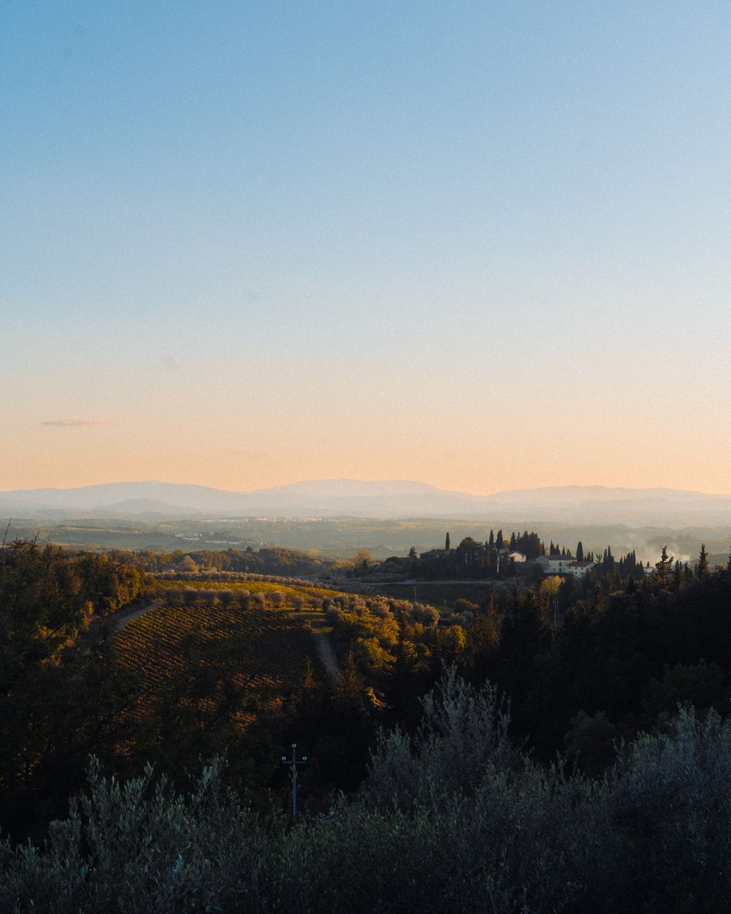 Tuscan morning light across rolling hills and cypress trees